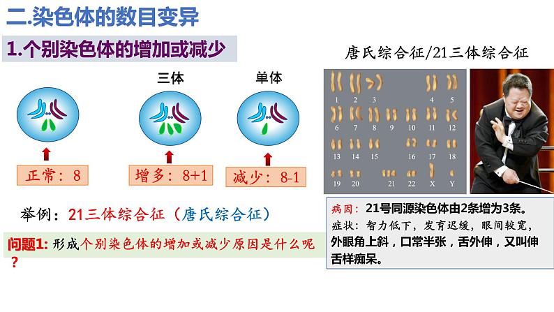 5.2染色体变异（第1课时）课件PPT06