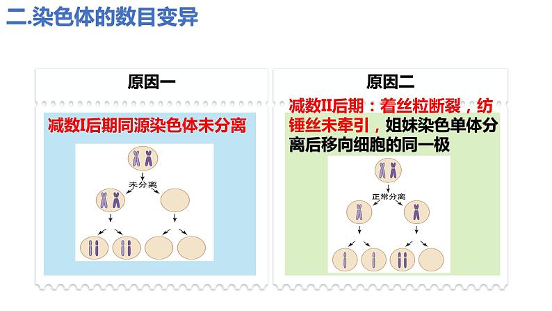 5.2染色体变异（第1课时）课件PPT07