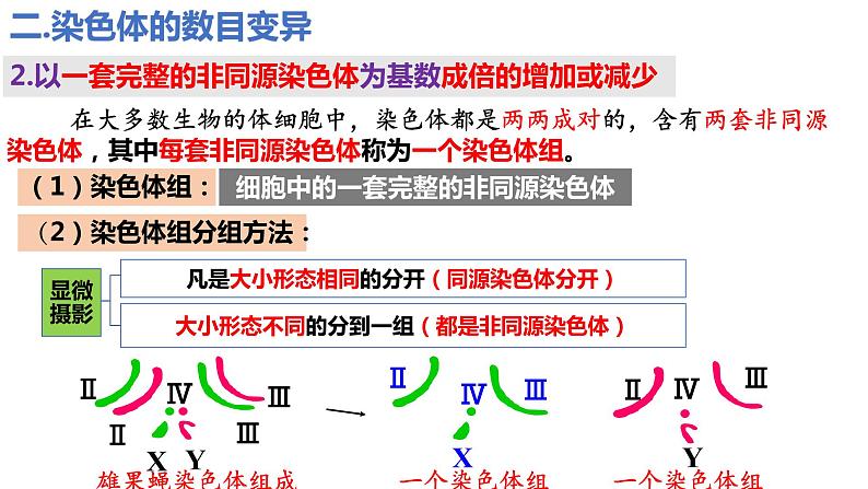 5.2染色体变异（第1课时）课件PPT08