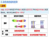 5.2染色体变异（第3课时）课件PPT