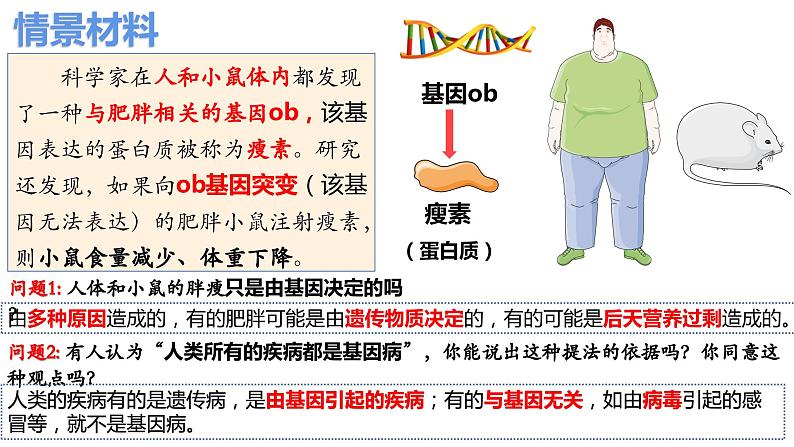 5.3人类遗传病(2课时）课件PPT04