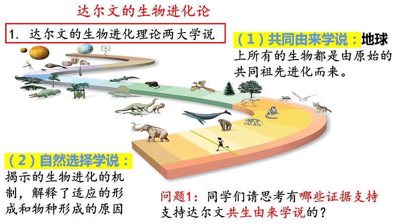 6.1生物有共同祖先的证据（1课时）课件PPT第6页