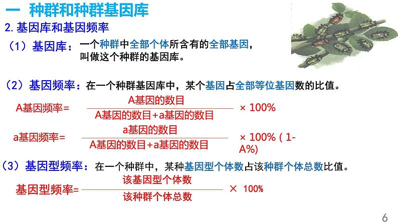 6.3种群基因组成的变化与物种的形成（第1课时）课件PPT第6页