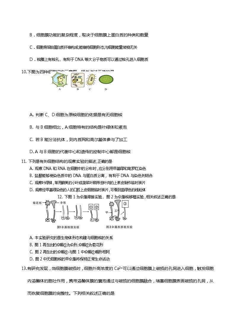 四川省遂宁市2022-2023高二下学期期末监测生物试卷+答案03
