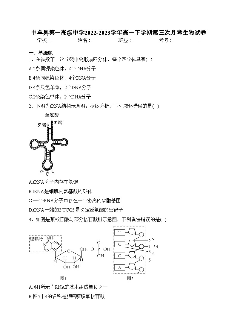 中牟县第一高级中学2022-2023学年高一下学期第三次月考生物试卷（含答案）01
