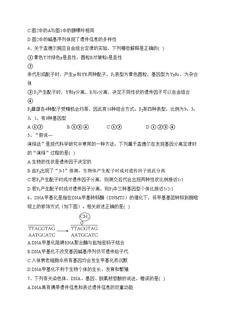 中牟县第一高级中学2022-2023学年高一下学期第三次月考生物试卷（含答案）02