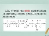 普通高中生物学业水平合格性考试复习第一章细胞的分子组成课件