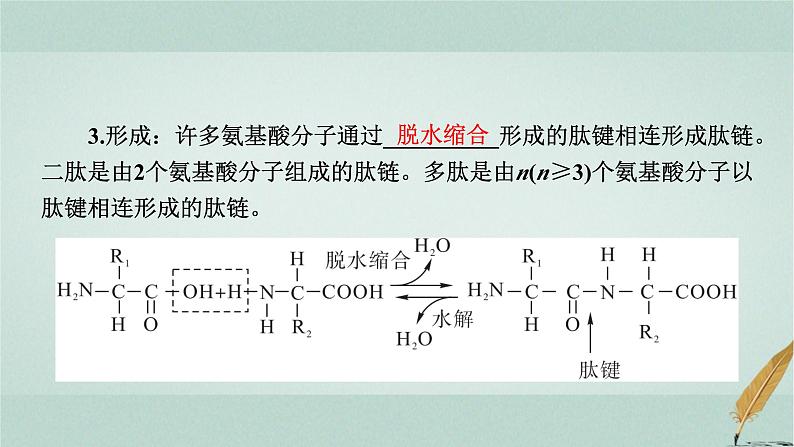 普通高中生物学业水平合格性考试复习第一章细胞的分子组成课件第4页