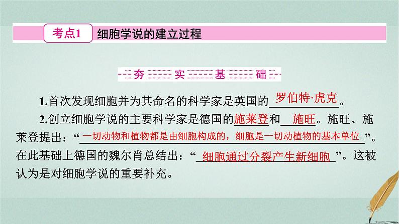 普通高中生物学业水平合格性考试复习第二章细胞的结构课件第3页