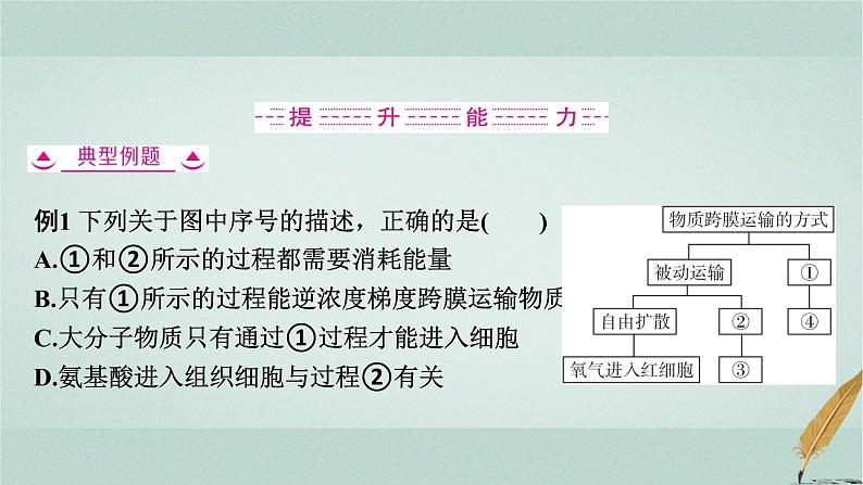 普通高中生物学业水平合格性考试复习第三章细胞的代谢课件08