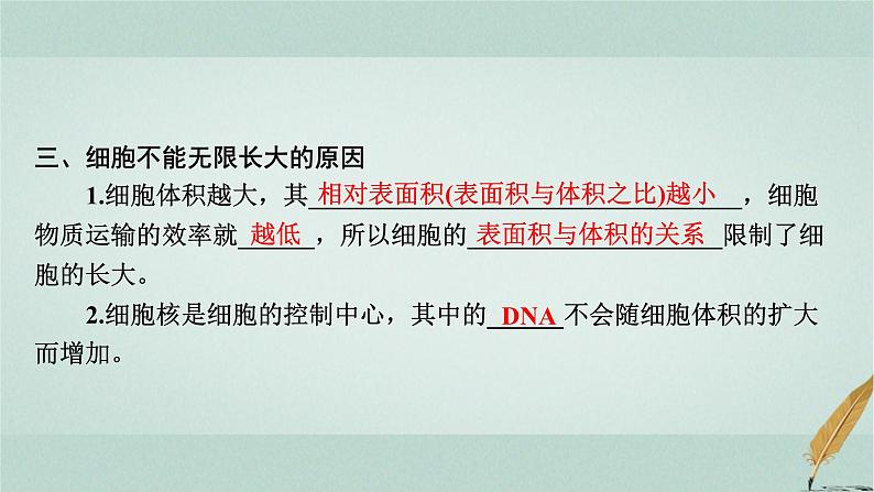 普通高中生物学业水平合格性考试复习第四章细胞的增殖课件05