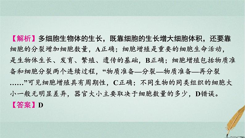 普通高中生物学业水平合格性考试复习第四章细胞的增殖课件07