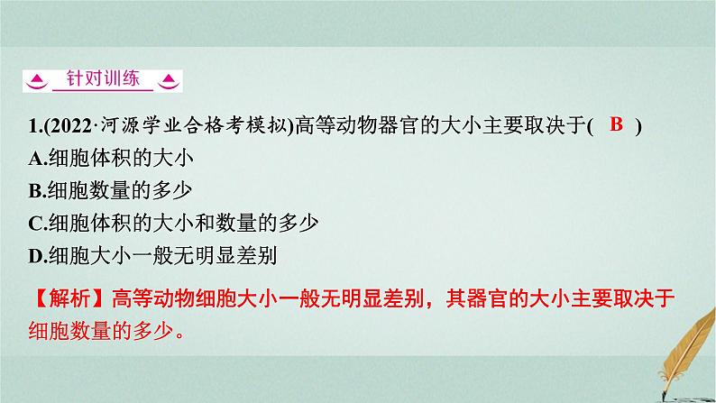 普通高中生物学业水平合格性考试复习第四章细胞的增殖课件08