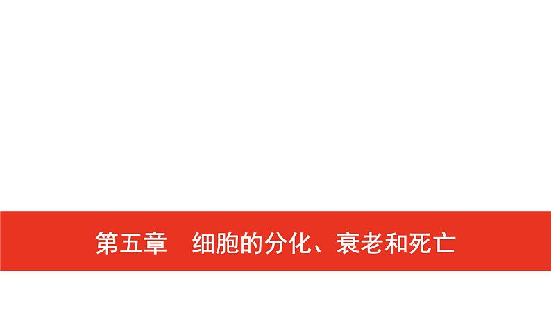 普通高中生物学业水平合格性考试复习第五章细胞的分化、衰老和死亡课件第1页