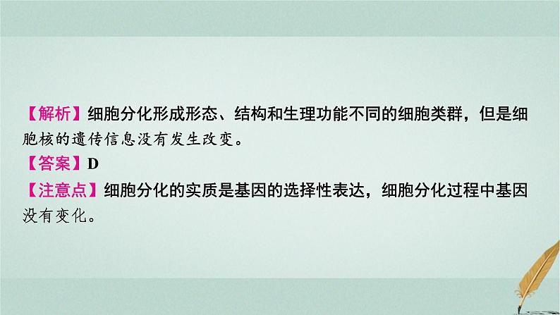 普通高中生物学业水平合格性考试复习第五章细胞的分化、衰老和死亡课件第6页