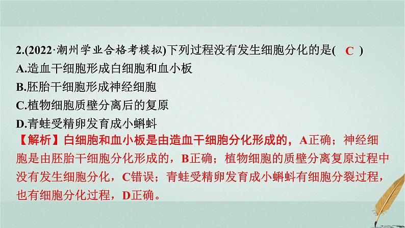 普通高中生物学业水平合格性考试复习第五章细胞的分化、衰老和死亡课件第8页