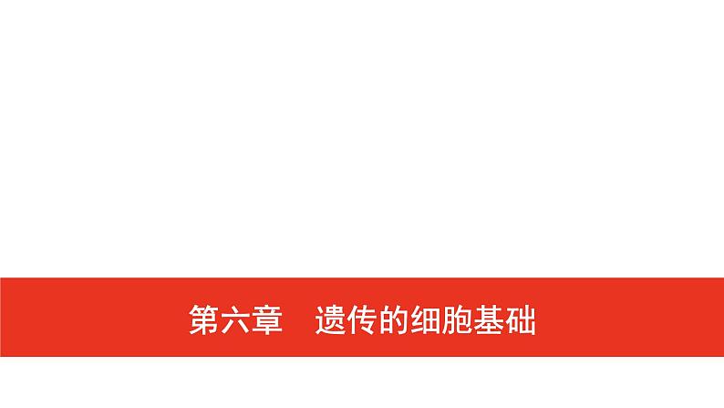 普通高中生物学业水平合格性考试复习第六章遗传的细胞基础课件第1页