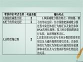 普通高中生物学业水平合格性考试复习第六章遗传的细胞基础课件