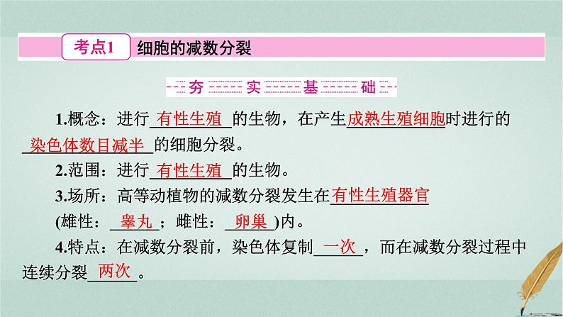 普通高中生物学业水平合格性考试复习第六章遗传的细胞基础课件第3页