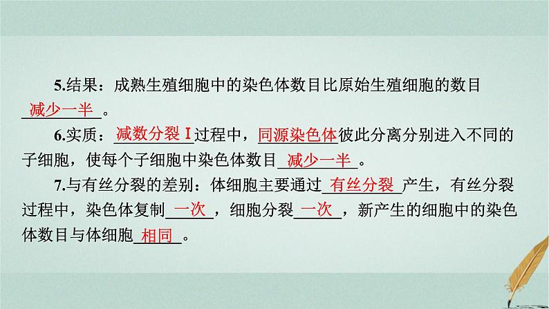 普通高中生物学业水平合格性考试复习第六章遗传的细胞基础课件第4页