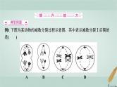 普通高中生物学业水平合格性考试复习第六章遗传的细胞基础课件