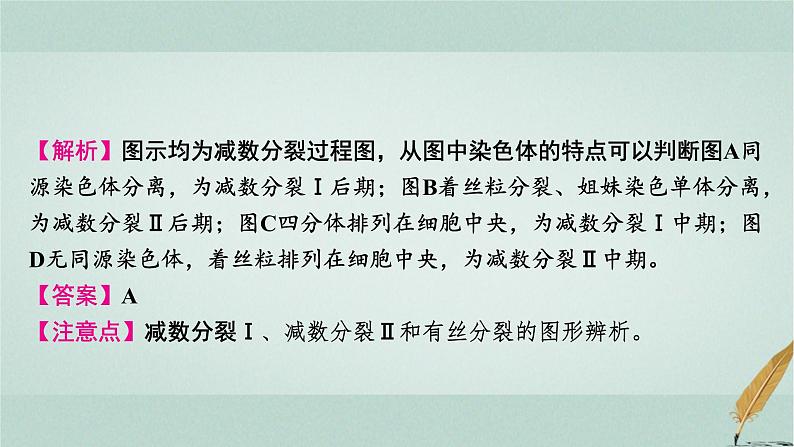 普通高中生物学业水平合格性考试复习第六章遗传的细胞基础课件第6页