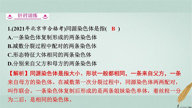 普通高中生物学业水平合格性考试复习第六章遗传的细胞基础课件第7页