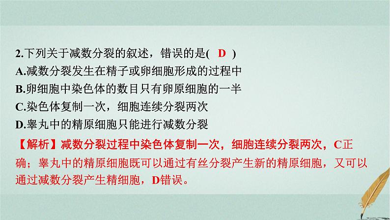 普通高中生物学业水平合格性考试复习第六章遗传的细胞基础课件第8页