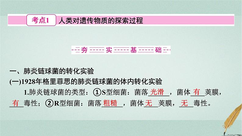 普通高中生物学业水平合格性考试复习第七章遗传的分子基础课件第3页