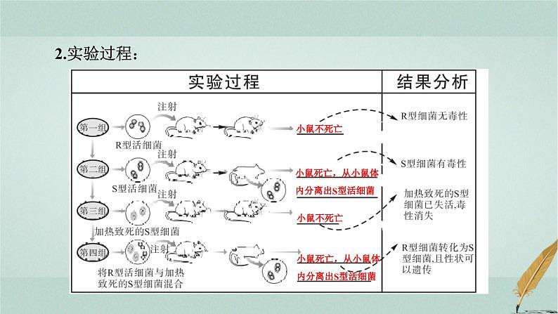 普通高中生物学业水平合格性考试复习第七章遗传的分子基础课件第4页