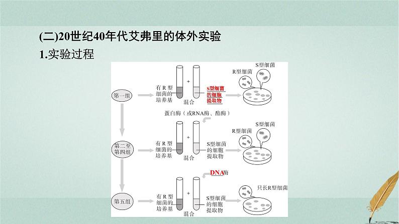 普通高中生物学业水平合格性考试复习第七章遗传的分子基础课件第6页