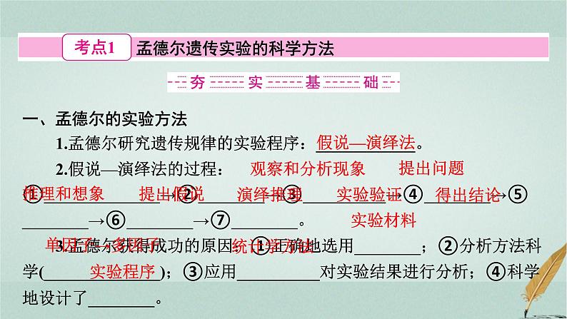 普通高中生物学业水平合格性考试复习第八章遗传的基本规律课件第3页