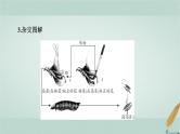 普通高中生物学业水平合格性考试复习第八章遗传的基本规律课件