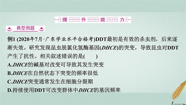 普通高中生物学业水平合格性考试复习第九章生物的变异课件第7页