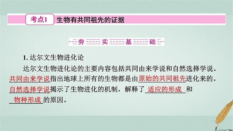 普通高中生物学业水平合格性考试复习第十一章生物的进化课件第3页