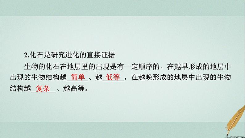 普通高中生物学业水平合格性考试复习第十一章生物的进化课件第4页