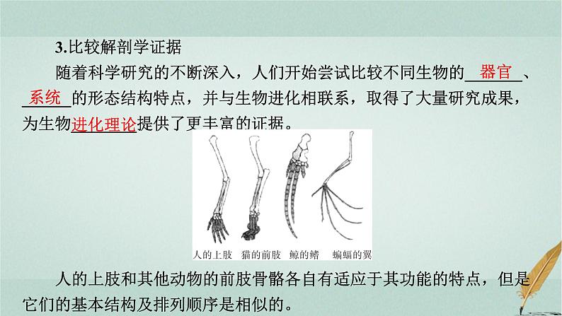 普通高中生物学业水平合格性考试复习第十一章生物的进化课件第5页