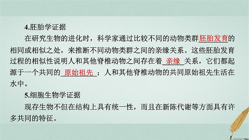 普通高中生物学业水平合格性考试复习第十一章生物的进化课件第6页