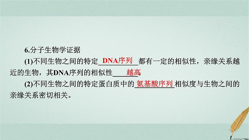 普通高中生物学业水平合格性考试复习第十一章生物的进化课件第7页