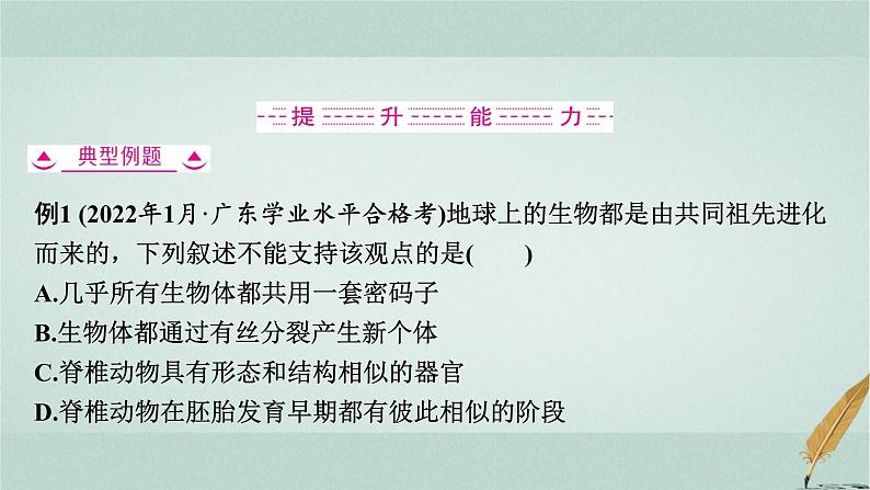 普通高中生物学业水平合格性考试复习第十一章生物的进化课件第8页