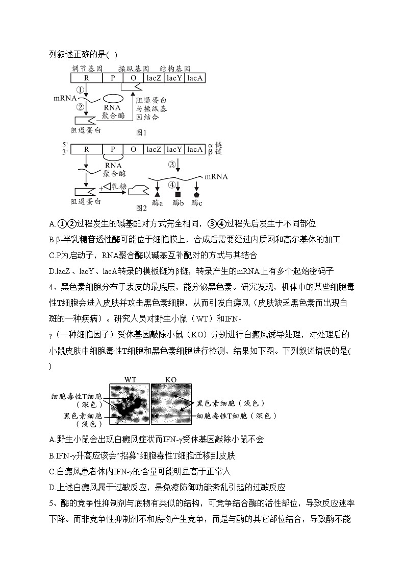 安徽省十校联考2022-2023学年高二下学期第三届竞赛生物试卷（含答案）02