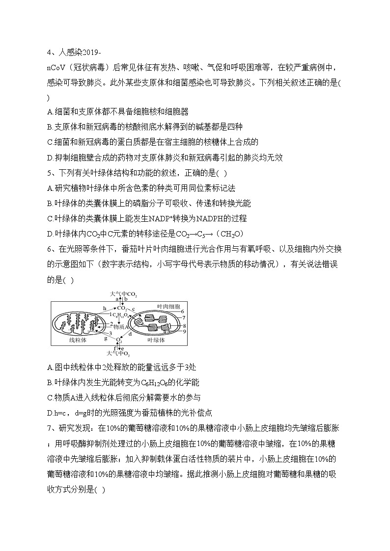 广东省汕尾市2022-2023学年高二下学期竞赛生物试卷（含答案）02