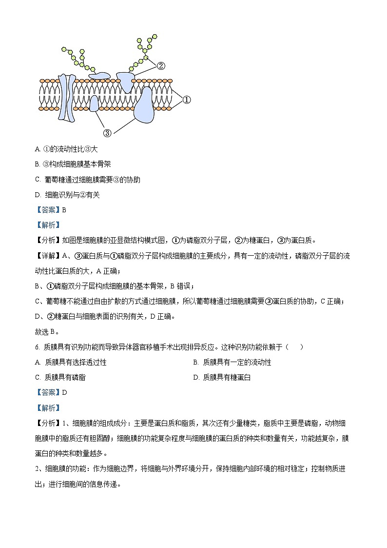 浙江省绍兴市第一中学2022-2023学年高一生物下学期期末试题（Word版附解析）03