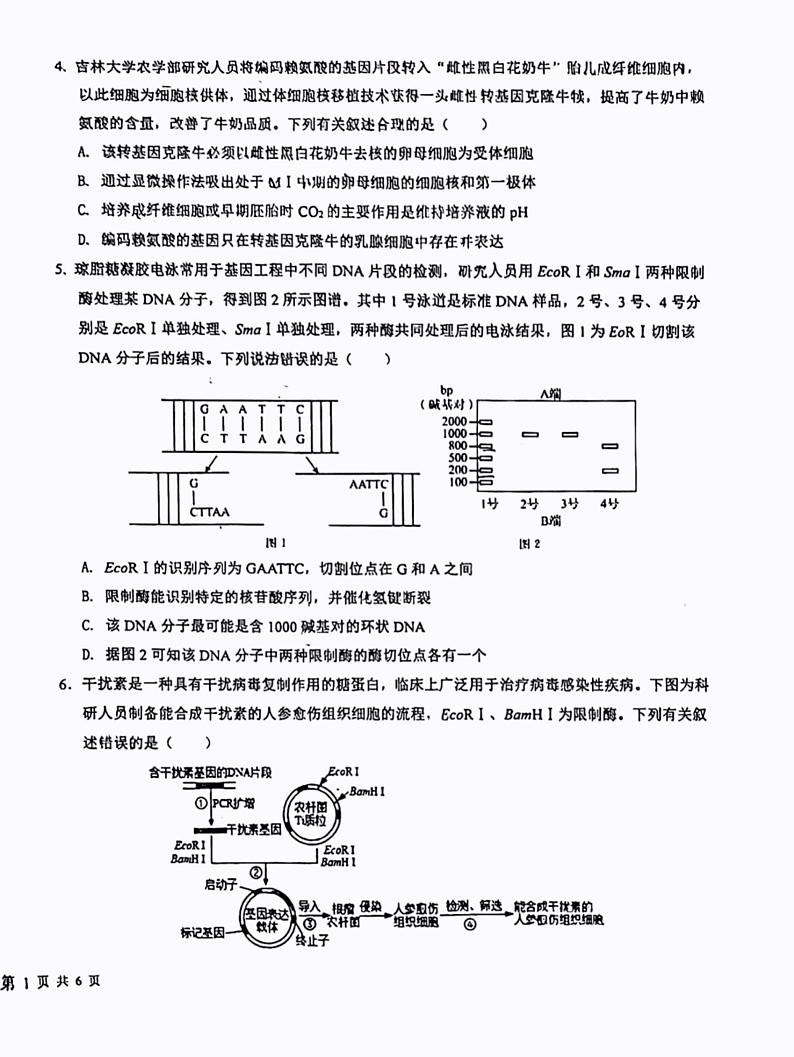 陕西省合阳县合阳中学2022-2023学年高二下学期7月期末生物试题02