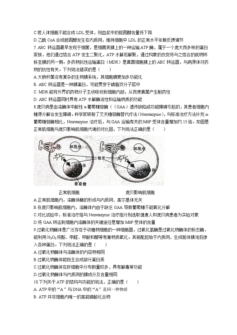 山东省菏泽市鄄城县第一中学2022-2023学年高二生物下学期6月月考试题（Word版附解析）第2页