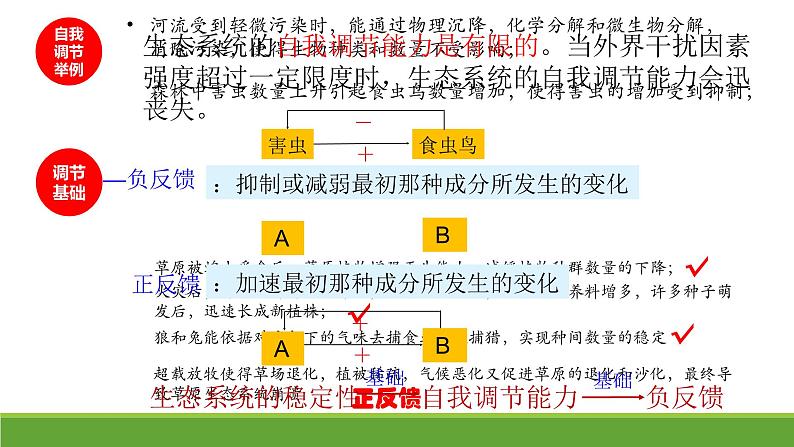 2023届高三生物二轮专项复习课件： 生态系统的稳定性第6页
