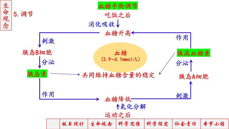 2023届高三生物一轮复习课件神经调节神经-体液调节2第7页