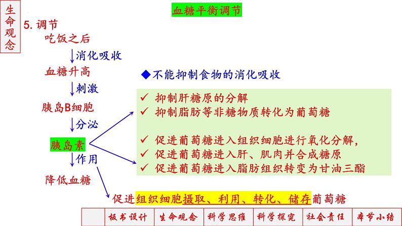 2023届高三生物一轮复习课件神经调节神经-体液调节2第8页