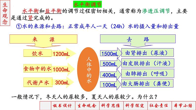 2023届高三生物一轮复习课件神经调节神经-体液调节3第4页