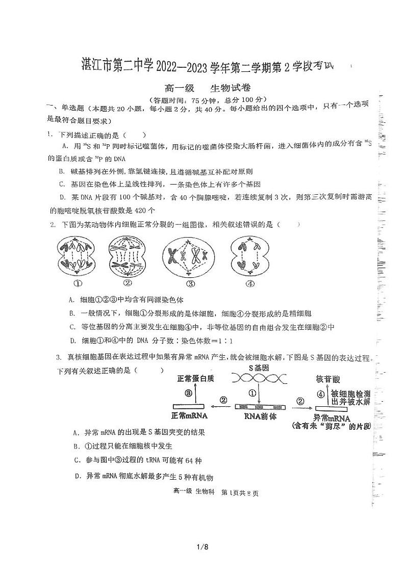 广东省湛江市第二中学2022-2023学年高一下学期7月期末生物试题01